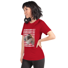 Load image into Gallery viewer, Women&#39;s Business Sloth T-Shirt